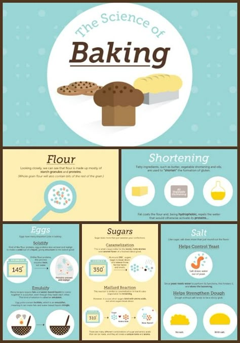 The Science of Baking by Shari's Berries Collage Basics Of Baking, Science Behind Baking, Baking Basics For Beginners, Science Of Cooking, Baking Science Fair Projects, Baking Class Ideas, Science Of Baking, Cooking Science, Cooking Knowledge