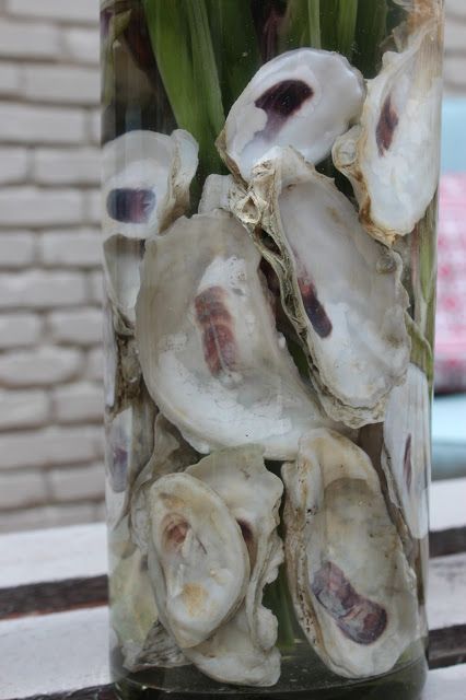 Oyster Shell Centerpiece Wedding, Oyster Shells Wedding Decor, Oyster Centerpiece, Oyster Centerpiece Wedding, Oyster Roast Decor, Oyster Themed Party, Oyster Baby Shower Theme, Oyster Wedding Decor, Oyster Shell Vase