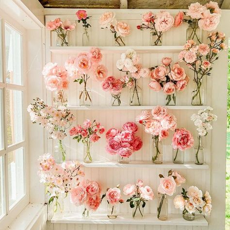 Almost Weekend, June Bug, Rose Wall, Friends Happy, Romantic Flowers, Garden Roses, My Summer, You Dream, Flower Farm