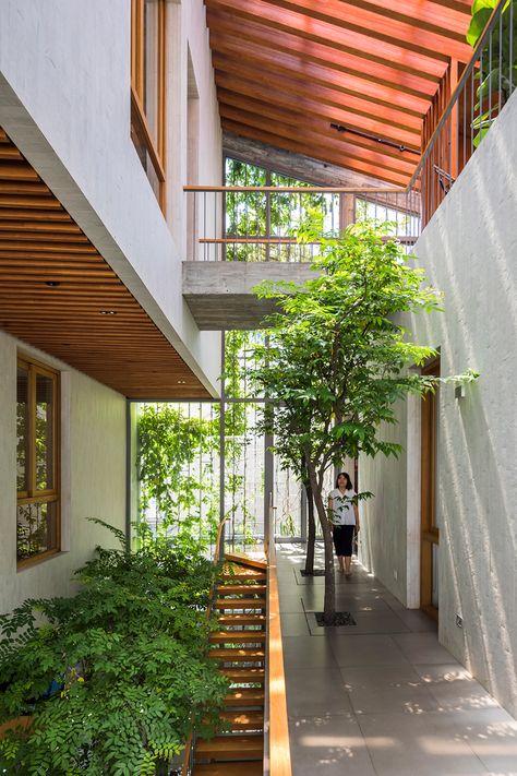 Tropical House Design, Tropical Architecture, Park House, Indoor Gardens, Garden Architecture, Tropical House, Modern Tropical, Courtyard House, Tropical Houses