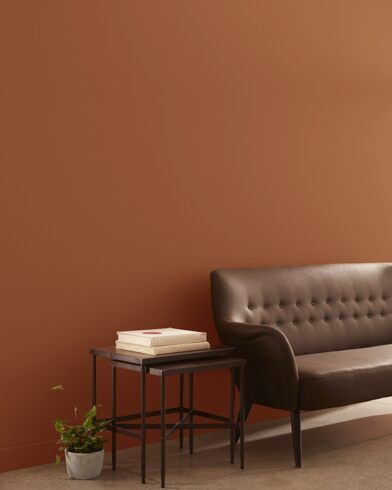 Warmed Cognac AF-235 | Benjamin Moore Paint Color Swatches, Orange Paint Colors, Deco Orange, Color Terracota, Copper Kettle, Benjamin Moore Colors, Orange Paint, Orange Walls, Montana Agate