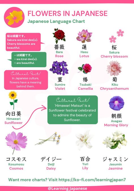 @Learning Japanese 🇯🇵 on Twitter: "Flowers in Japanese! 🌸💐 #Japan #Japanese #langtwt https://t.co/7Id2cq4TkN" / Twitter Japanese Flower Names, January Flower, Learning Japanese, Flower Names, Japanese Names, Japanese Flowers, Learn Japanese, Japanese Language, Japanese Culture