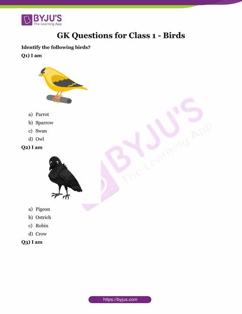 GK Questions for Class 1 - Birds Gk Questions For Class 1, Kids Learning Apps, Different Types Of Birds, Types Of Birds, Gk Questions, Student Activities, General Knowledge, Early Learning, Kids Learning