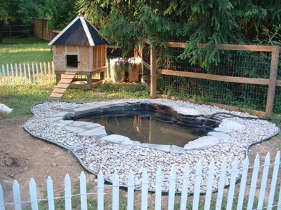 I like the flag-stone edging on this pond.  It would interesting to know how they filter the water.  It looks too big to empty and refill every few days. Diy Duck House, Duck Enclosure, Duck House Plans, Duck Pens, Backyard Ducks, Duck Coop, Duck Farming, Pet Ducks, Duck House