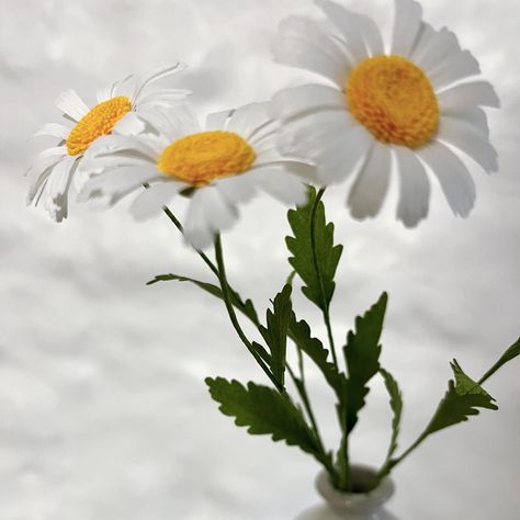 Daisies …again! I will get around to making something different soon. These are my version of Oxeye Daisies, there are so many blooming all around at the moment, but I really don’t like picking wild flowers, so I’ve been relying a lot on books and internet searches. I’m quickly realising though that the information varies so much from the various sources, that it’s quite difficult to know what’s right. Hopefully I’ve done these justice and got the leaf shape more of less. I’ve got a few m... Daisy Leaf, Oxeye Daisy, Leaf Shapes, Wild Flowers, Daisy, In This Moment, Flowers, Instagram