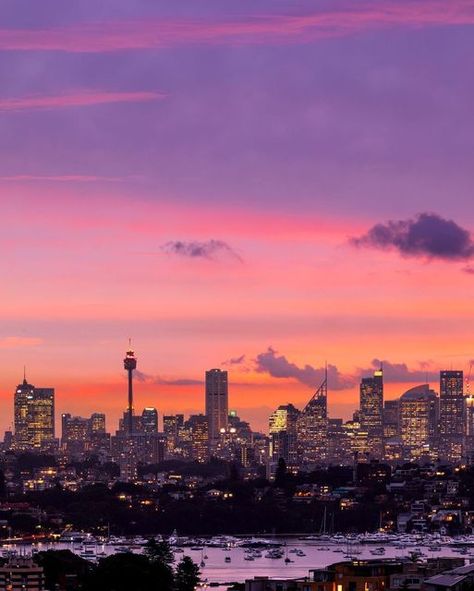 Sydney, Australia on Instagram: "Summer nights and city lights 💜 We didn't think Sydney could be any anymore captivating, until we found this perfect lookout at Vaucluse with a mesmerising city skyline view. Thanks for sharing your #feelnewsydney moment @elisaeves" Sydney Australia Aesthetic Night, Sydney Night Aesthetic, Angel Wings Hd Wallpaper, Sydney At Night, Spiderverse Oc, Sydney Sunset, City Aesthetics, Sydney Skyline, Sydney Travel