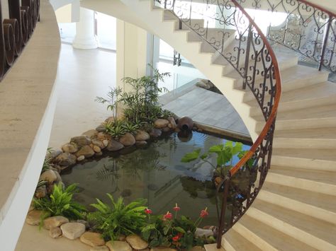 The space under the stairs is the perfect space for a small… Small Garden Under Stairs, تحت الدرج, Indoor Pond, Kolam Koi, Fish Pond Gardens, Under The Stairs, Stair Case, Bottle Garden, Home Stairs Design