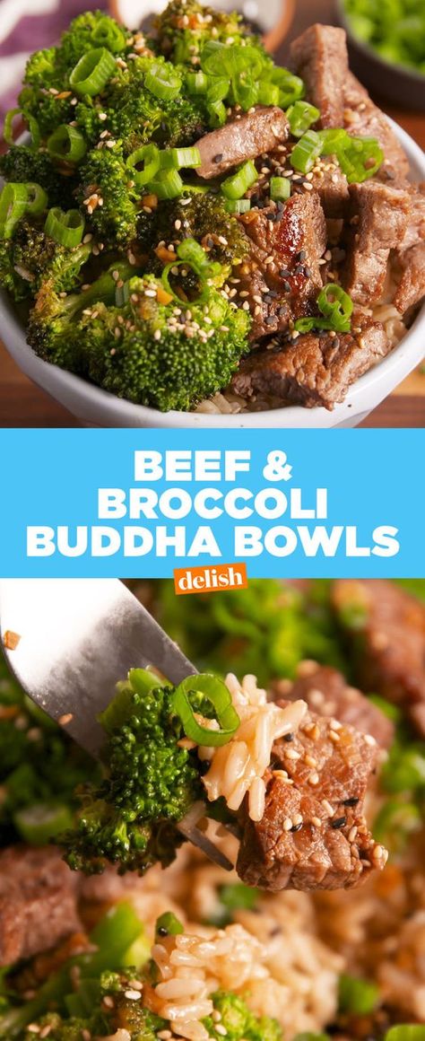 Steak And Broccoli, Buddha Bowls Recipe, Beef Broccoli, Beef And Broccoli, Buddha Bowls, Ground Beef Recipes Easy, Broccoli Beef, Buddha Bowl, Healthy Eating Tips