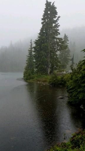 Rainy Woods Aesthetic, Rain Video Aesthetic Dark, Rainy Forest Wallpaper, Rainy Day Aesthetic Dark, Forest Lake Aesthetic, Rainy Mood Aesthetic, Rain Aesthetic Dark, Dark Woods Aesthetic, Rain Woods