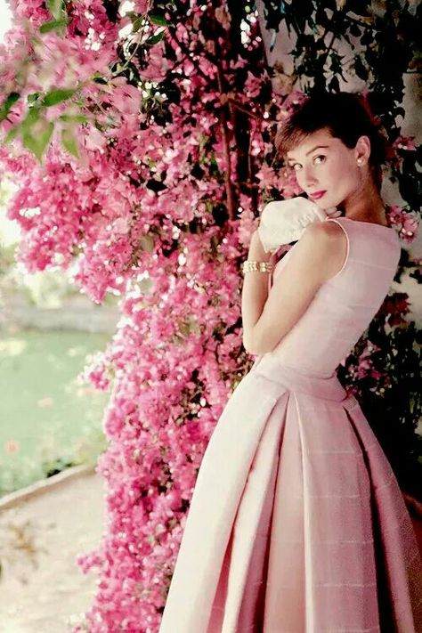 Audrey Hepburn Audrey Hepburn, Pink Dress, A Woman, Flowers, Wall, Pink