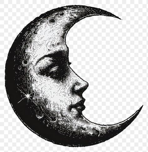 Half Moon Sketch, Moon Png Aesthetic, Vintage Moon Drawing, Moon Half, Png Moon, Moon Icon Png, Moon Icon Aesthetic, Graphic Png, Art Png Aesthetic