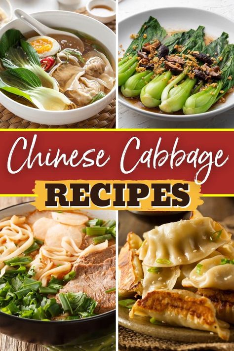 Any fan of Asian cuisine will love these Chinese cabbage recipes. Whether you love bok choy or prefer leafy napa cabbage, you'll love these tasty dishes. Chinese Cabbage Recipes Easy, Recipes Using Chinese Cabbage, Chinese Cabagge Recipe, Cabbage Tomato Recipe, Asian Cabbage Recipes, Chinese Cabbage Recipe, Napa Cabbage Recipes Asian, How To Cook Chinese Cabbage, Napa Cabbage Chinese Recipes