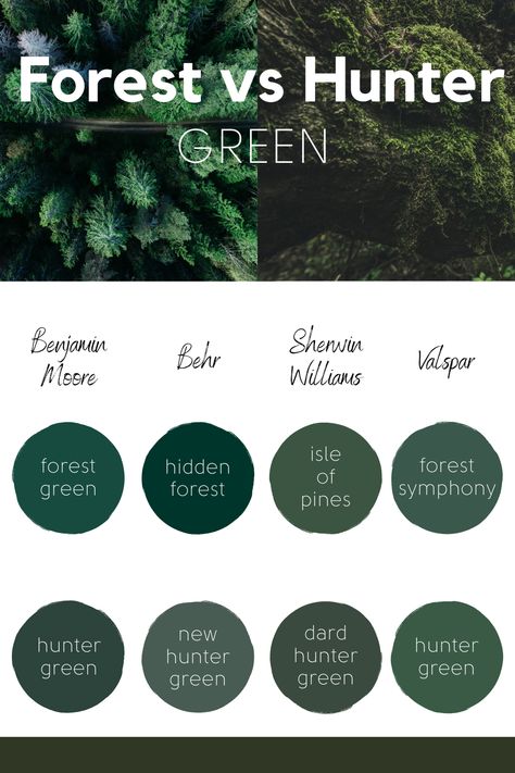 hunter green vs forest green Top Green Paint Colors Behr, Green Agate Behr Paint, Forest Green Shades, Forest Green Sherwin Williams, Deep Green Wall Paint, Black Forest Green Paint, Green Paint Behr, Rich Green Paint Colors, Forest Green House Exterior