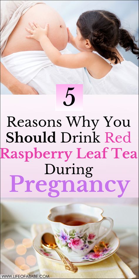 Raspberry Tea Pregnancy, Red Raspberry Leaf Tea Pregnancy, Rasberry Leaf Tea, Raspberry Leaf Tea Benefits, Raspberry Leaf Tea Pregnancy, Red Raspberry Tea, Red Raspberry Leaf Tea, Pregnant Drinks, Pregnancy Tea