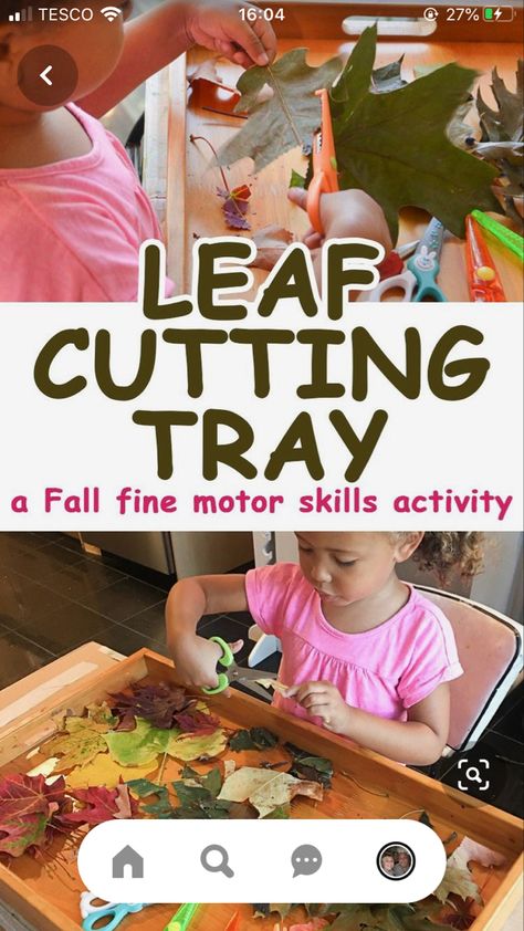 Happy Toddler, Fall Preschool Activities, Fall Activity, Tree Study, Preschool Fall, Preschool Fine Motor, Fall Preschool, Fine Motor Skills Activities, Creative Curriculum