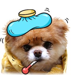 Facebook / Messenger Boo and Buddy Sticker #10 free download Messenger Stickers, Boo And Buddy, Png Stickers, Kinds Of Dogs, Facebook Messenger, Png Format, Dog Pictures, Animal Pictures, Animals Wild