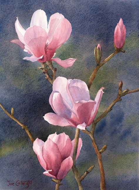 Watercolor Paintings Flowers Gallery.Watercolour flowers. Paintings Flowers, Easy Flower Painting, Watercolour Flowers, Watercolor Paintings Easy, 수채화 그림, Watercolor Artists, Watercolor Flowers Paintings, Watercolor Trees, Painting Gallery