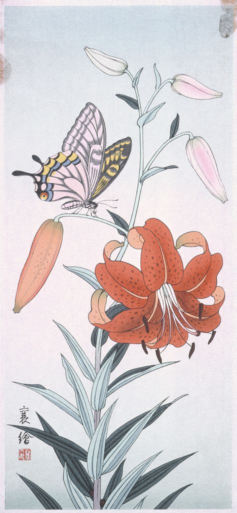 Butterfly and Lily, Jō (Japanese), 20e | LACMA Collections Asian Lilies, Butterflies Illustration, Japanese Art Modern, Japanese Woodblock Print, Chinese Landscape Painting, Japanese Drawings, Japanese Art Prints, Butterfly Illustration, Japanese Woodblock