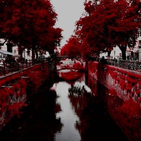 Uppsala Sweden, Aesthetic Red, Theme Background, Europe Vacation, Aesthetic Photography Nature, Woo Young, Foto Ideas Instagram, Never Stop Exploring, Aesthetic Colors