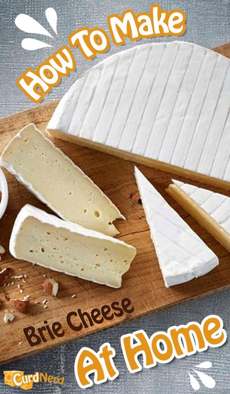 Brie Cheese Recipes, Different Types Of Cheese, Cheese Recipes Homemade, Cheese Making Recipes, Goat Milk Recipes, Cheese At Home, Queso Brie, Diy Cheese, Brie Recipes