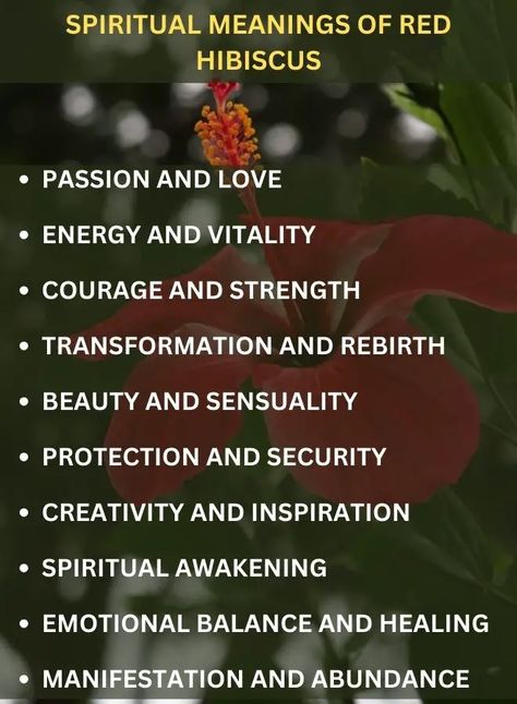 The red hibiscus symbolizes passion, energy, courage, transformation, beauty, protection, creativity, spiritual awakening, emotional balance, and abundance, offering healing and inspiration to all. Hibiscus Spiritual Benefits, Hibiscus Symbolism, Hibiscus Spiritual Meaning, Hibiscus Meaning, Meaning Of Red, Red Meaning, Hibiscus Plant, Red Hibiscus, Crystal Goddess