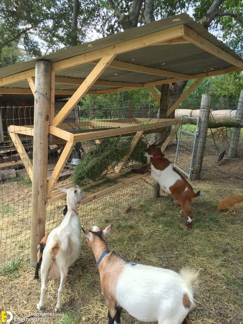 Smart Goat And Sheep Hay Feeder Ideas | Engineering Discoveries Smart Goat And Sheep Hay Feeder Ideas Sheep Hay Feeder, Goat Hay Feeder, Sheep House, Goat Feeder, Goat Playground, Sheep Pen, Goat Shed, Livestock Shelter, Goat Shelter