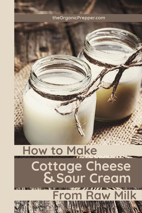 How To Make Sour Cream, Cottage Cheese Sour Cream, Sour Milk Recipes, Make Cottage Cheese, Homemade Cheeses, Raw Dairy, Homemade Cottage Cheese, Cheese Recipes Homemade, Milk Cows