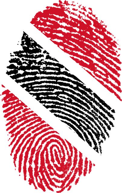 Photo By Kurious | Pixabay #trinidadandtobago #flag #fingerprint #travellingthroughtheworld #travelasia #travelersnotebook #travelbag #travelwithme Trinidad Independence, Trinidad Culture, Trinidad Flag, Canada Leaf, Paper Flower Video, Tropical Prints Pattern, Trinidad And Tobago Flag, Honduras Flag, Public Place