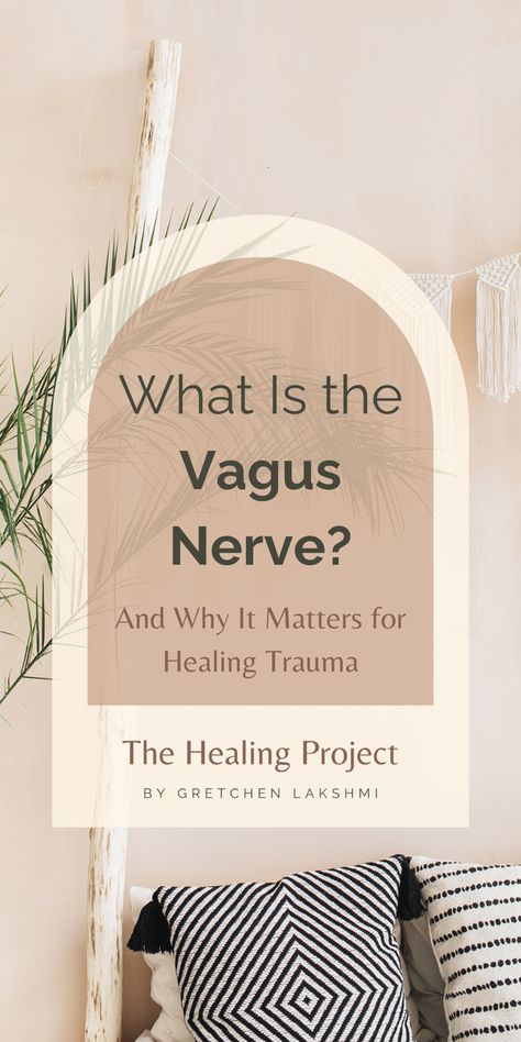 What Is the Vagus Nerve? And Why It Matters for Healing Trauma Vagus Nerve And Migraine, Vagus Nerve Stimulating, Vagal Nerve Exercises, Vagus Nerve Healing, Vegas Nerve, Vagus Nerve Damage, Circulation Remedies, Vagus Nerve Stimulator, Nerf Vague