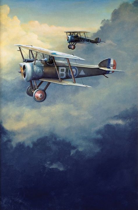 Ww1 Airplanes, Airplane Painting, Ww1 Planes, Sopwith Camel, Ww1 Aircraft, Old Planes, Aircraft Painting, Airplane Art, Ww 1