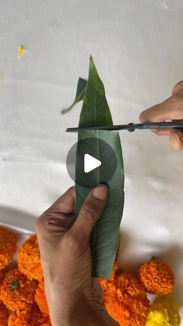 Harika Reddy on Instagram: "Day 25 of 60 Festive DIYs Magic With Harika 🪷

In today’s episode of festival DIYs, We have so many requests to post more Toran ideas. Previously we shared horizontal Toran/toranam, but in this episode, we are sharing vertical hanging Toran, which gives a full festive vibe to the main door.

Save and share this idea with someone whom you find useful🤝

#repost
#ganeshchaturthi #ganeshchaturthispecial 
| DIY series, DIY, crafts, festive decor, Ganesh Chaturthi decor, Ganesh Chaturthi decor ideas, Ugadi decor, toranam for festivals, Indian festival, eco-friendly, sustainable, sustainable living, toranam, toran ideas, Diwali decor, Diwali |" Door Decoration Ideas For Diwali, Door Decoration Flowers Indian, Main Door Flower Decoration Ideas Indian, Main Door Diwali Decoration Ideas, Flower Door Toran, Flower Door Decorations Indian, Door Toran Flower, Diwali Door Hangings, Door Decorations For Diwali