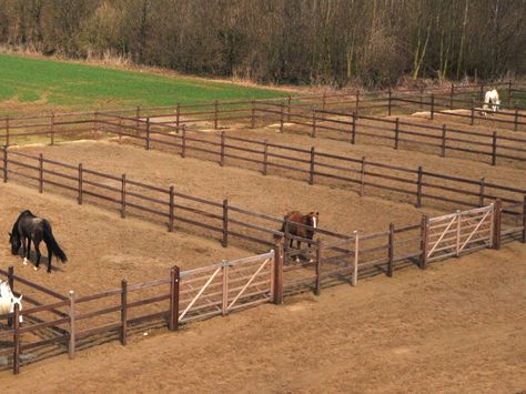 I'd probably put gates on the back to and do a big field back. The small ones could be for new horses or foals. Horse Lot Ideas, Horse Turnout Paddock, Paddocks For Horses, Horse Runs With Shelter, Small Horse Paddock, Foaling Stall Ideas, Small Stable Ideas, Horse Farm Layout, Horse Turnout