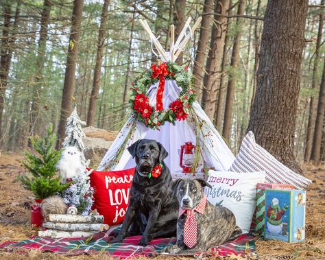 Diy Teepee Tent Christmas Tree, Tee Pee Christmas Photo Shoot, Christmas Teepee Photoshoot, Christmas Tipi Photo, Teepee Christmas Photo Shoot, Teepee Photo Shoot, Teepee Tent Christmas Photoshoot, Diy Christmas Photoshoot, Christmad Tree Teepee