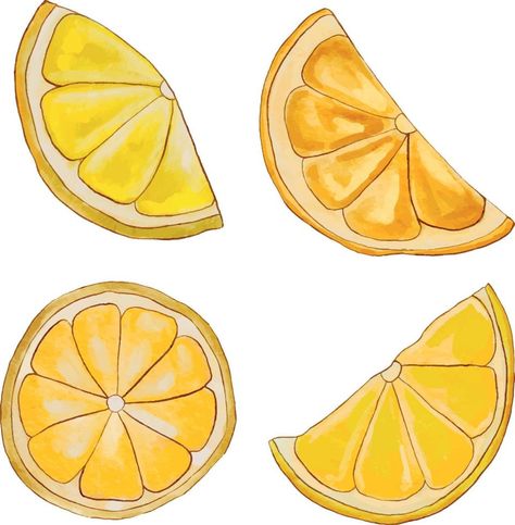 slices of lemon. Watercolor lemons. Lemon watercolor hand draw illustration. Sliced Lemon Drawing, Drawing Ideas Mouth, Lemon Slice Drawing, Lemon Logo, Sliced Lemon, Lemon Watercolor, Draw Illustration, Hand Draw, Lemon Slice