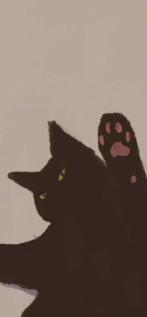 Wallpaper Gatos, 2022 Wallpaper, Wallpaper Cat, A Black Cat, A Black, Black Cat, Wallpapers, Green, Black