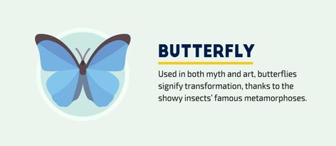 visual symbols and meanings every communicator visual storyteller needs to know butterfly Butterfly Symbolism Meaning, Metamorphosis Meaning, Raven Symbol, Dove Symbol, Owl Symbol, Butterfly Symbolism, Symbols Meaning, Symbolism Meaning, Tree Symbol