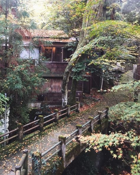 Hidden away in the mountains, these remote hot springs are worlds away from the bustle of Tokyo. Japanese Mountain House, Mt Komorebi, Japanese Neighborhood, Japan Village, Magical Mountain, Japan Images, Onsen Japan, Japanese Mountains, Japanese Forest