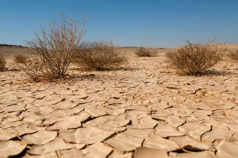 Drought and Desertification. Land degradation, desertification and drought in th , #SPONSORED, #degradation, #desertification, #drought, #Drought, #Desertification #ad Atmospheric Water Generator, Water Scarcity, Mother Earth News, World Days, Water Resources, Draw On Photos, Ecology, Pollution, Soil