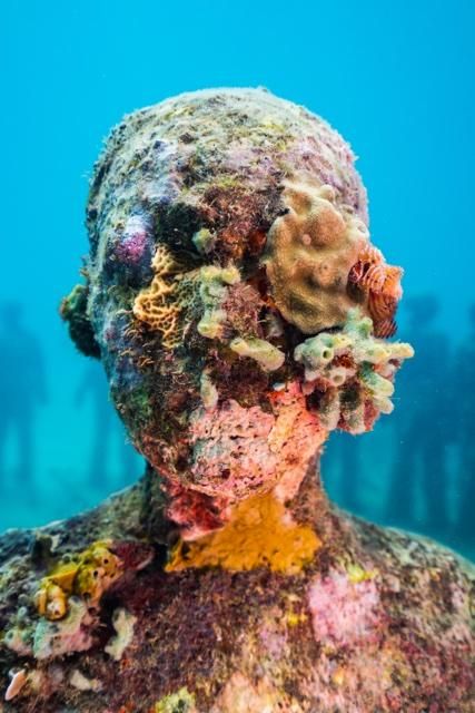 Parasite Art, Underwater Statues, Nature Installation, Ocean Sculpture, Jason Decaires Taylor, Olivia Williams, Underwater Museum, Underwater Sculpture, Water Experiments