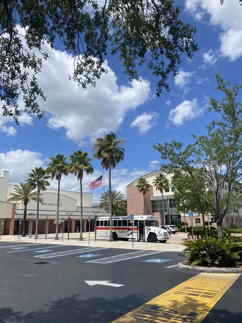 Palm trees palm tree high school school bus  Florida sun shine Exchange Year Usa, Usa High School, America School, Usa School, American Vibes, Usa Life, Life In Usa, America Aesthetic, Usa Dream