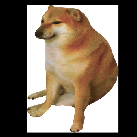 Doge Dog, Late Meme, Funny Stickman, I'm Tired, Dog Images, Cute Memes, Dog Memes, Shiba Inu, Animal Memes