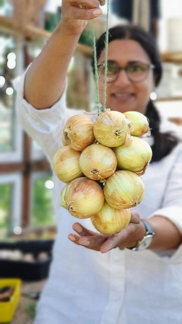 Rekha Mistry on Instagram: "Stringing Onions. By far, no matter what the weather, this is one of my favourite jobs. It's a 6 month process of getting here. Sowing seeds in February, planting out in May, harvesting early August and now 2 to 3 weeks after harvest, I start to string and hang the harvest. Stinging up and hanging onions allows for airflow around each bulb. Onion's neck is shut tight as it is wrapped around the twine making it near impossible for fungal disease to enter from thw ste Hanging Onions To Dry, Harvesting And Storing Onions, Onion Harvesting, Plant Onion From Onion, When To Plant Onion Seeds, Sowing Seeds, Edible Gardens, The Harvest, Grow Your Own Food