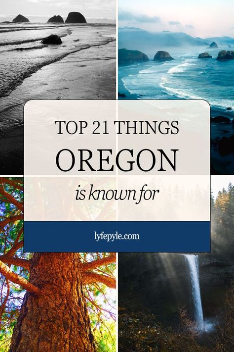 Click to discover what Oregon known for. Oregon things to do | Oregon travel | what to do in Oregon | Western USA Travel Vacations | United States Travel | Road Trip USA | West Coast Road Trip Things To Do Oregon Coast, Central Oregon Coast, What To Do In Oregon, Southern Oregon Travel, Oregon October, Camping Oregon, St Helens Oregon, Oregon Coast Roadtrip, Things To Do In Oregon