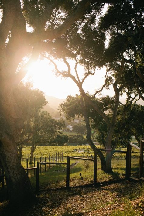 Carmel Valley Ranch / Incredible Photography, Carmel Valley Ranch, Our Memories, Carmel Valley, Weekend Escape, Islands Of Adventure, Romantic Destinations, Eco Friendly Travel, Down To Earth