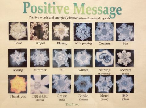 Positive Message Hidden Messages In Water, Masaru Emoto, I Can Do Anything, Awakening Quotes, About Water, Hidden Messages, Hidden Message, Spoken Words, The Portal