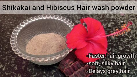 With shikakai and hibiscus powder Herbal Hair Wash Powder, Hibiscus Powder, Hibiscus Hair, Soft Silky Hair, Hair Wash, Herbal Hair, Hair Growth Faster, Washing Hair, Silky Hair