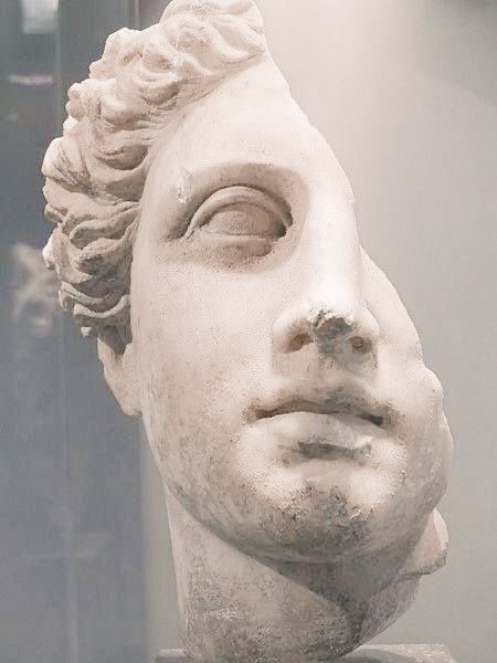 Ancient Greek Sculpture, Marble Bust, Vaporwave Art, Greek Statues, Ancient Greek Art, Roman Sculpture, Greek Sculpture, Ancient Sculpture, Still Life Drawing