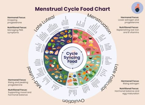 Menstrual Cycle Food Chart Menstrual Cycle Food, Cycle Food, Cycle Synching, Cycling Food, Hormone Nutrition, Menstrual Cycle Phases, Period Health, Cycle Tracking, Cycle Phases