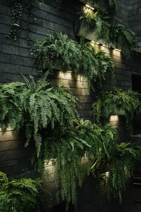 Jewel Changi Airport — Singapore — Haarkon Adventures Green Facade, Indoor Waterfall, Garden Indoor, Wall Garden, Design Garden, Interior Garden, Roof Garden, Fence Design, Plant Wall