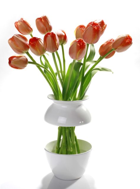 flowers in vase | flower vase Unusual Vases, Declutter Home, Fall Cleaning, Unique Vases, Red Tulips, Organization Kids, Creative Home Decor, Declutter Your Home, White Vases